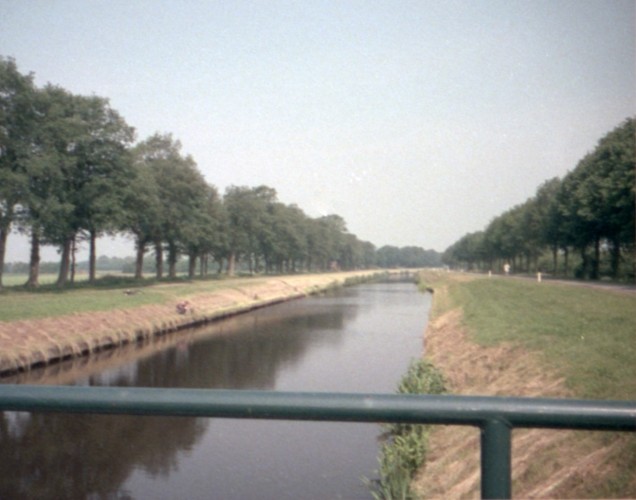 MM113-1