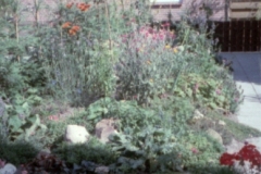 MM109-1
