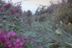 MM109-12