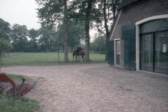 MM113-3