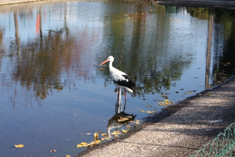 IMG_8728.jpg