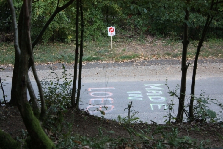 IMG_9484.jpg